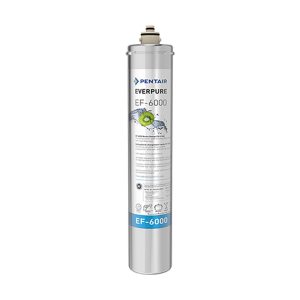 Everpure EF-6000 淨水設備
