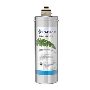 Everpure H-54 淨水設備