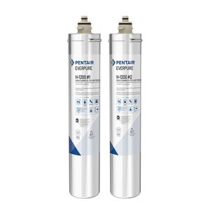 Everpure H-1200 淨水設備
